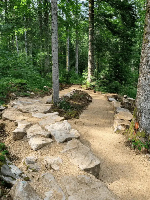 Single track Les Fourgs